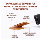 Kidney & Healthy Aging Support Drops for Cats