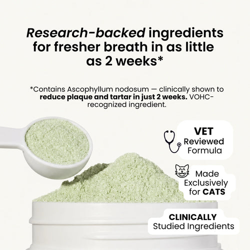 PrimalCat™ Dental Support Powder