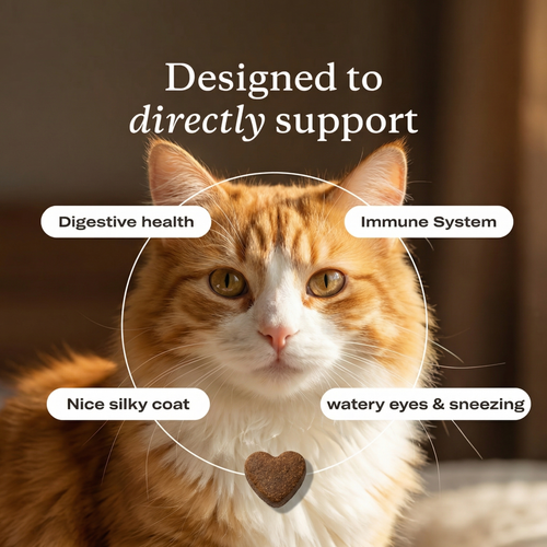 PrimalCat™ Immune & Eye Support Chews
