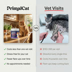 Protect your cat from what your eyes can’t see