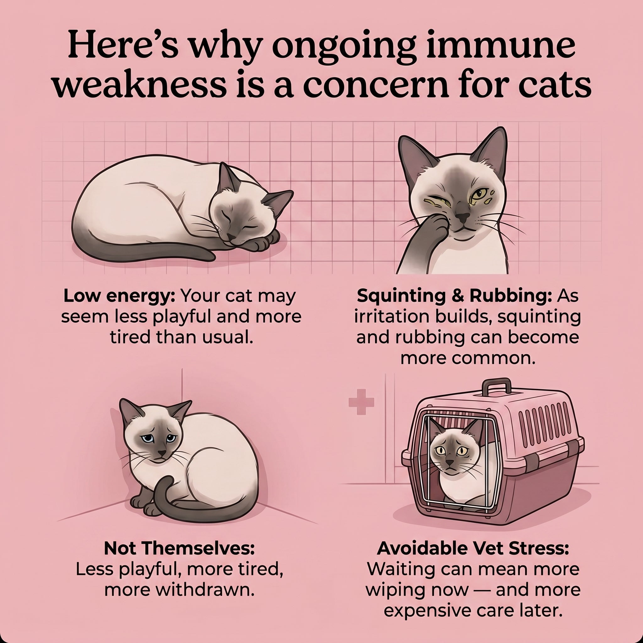 PrimalCat™ Immune & Eye Support Chews
