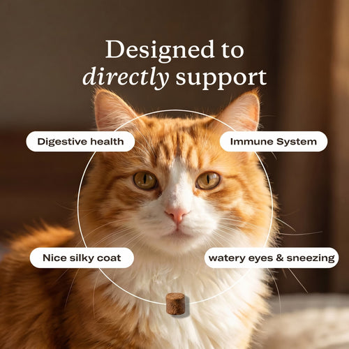 PrimalCat™ Immune & Eye Support Chews