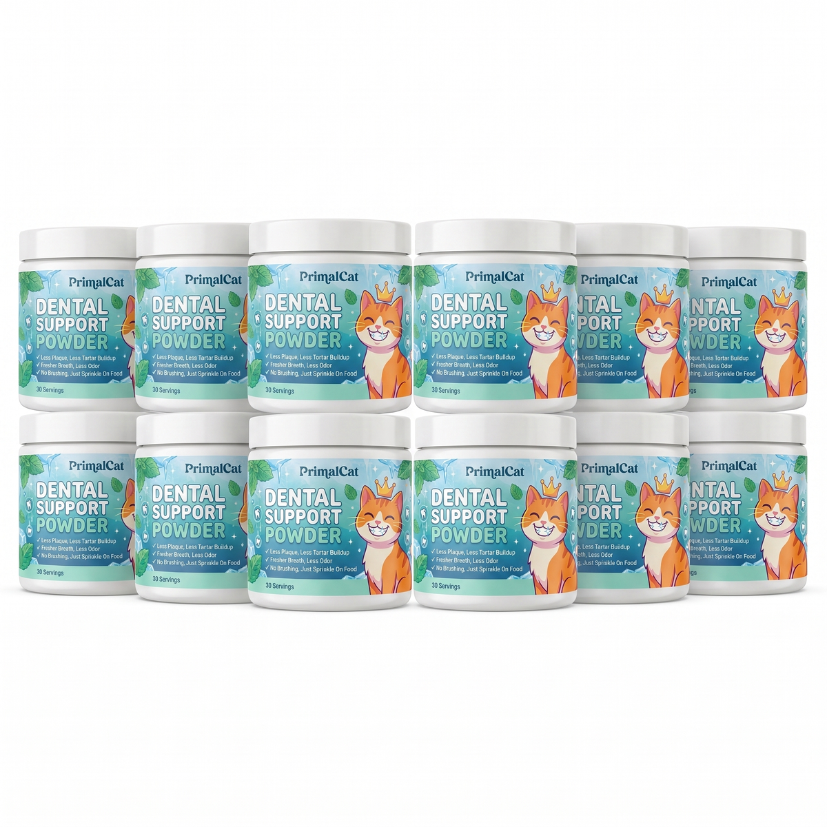 Dental Support Powder 1 Year Supply (12 Tubs)