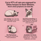 Protect your cat from what your eyes can’t see