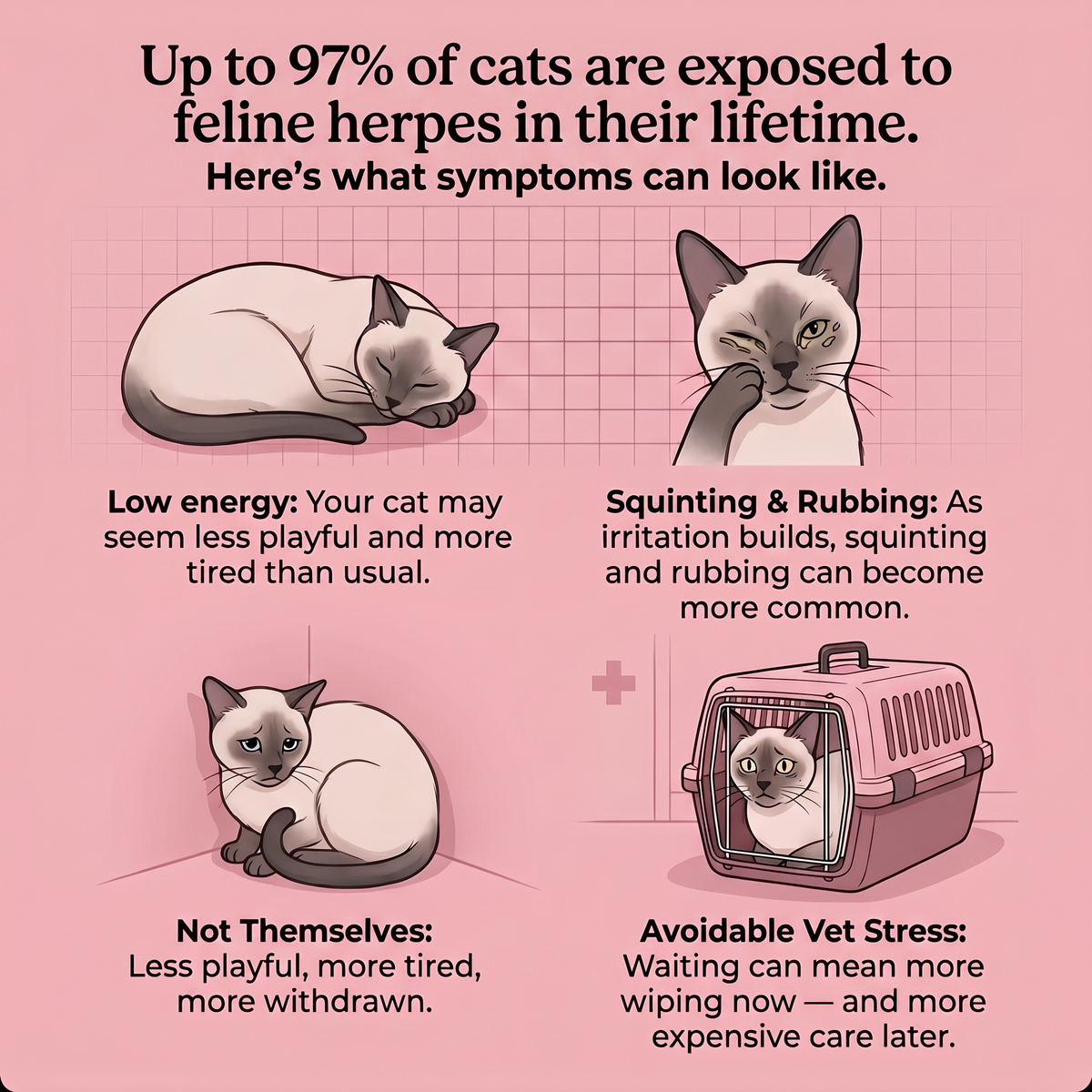 Protect your cat from what your eyes can’t see
